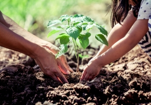 Otra forma de ver la educacin ambiental en Conama 2018